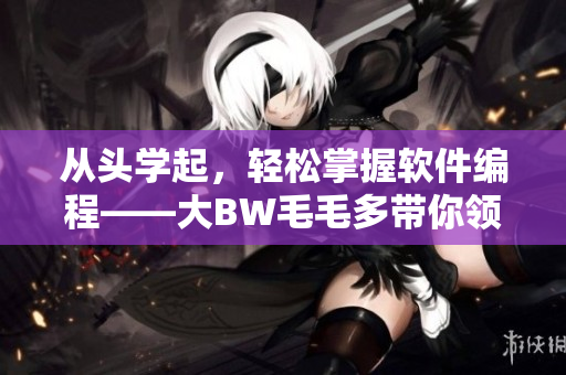 从头学起，轻松掌握软件编程——大BW毛毛多带你领略编程的乐趣