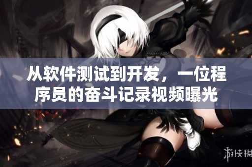 从软件测试到开发，一位程序员的奋斗记录视频曝光