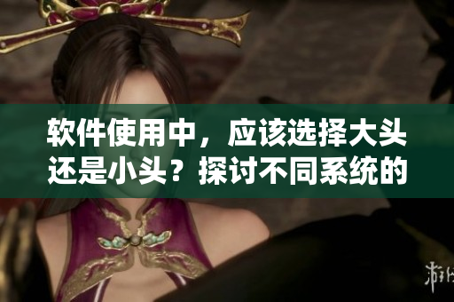 软件使用中，应该选择大头还是小头？探讨不同系统的最佳实践