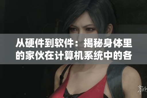 从硬件到软件：揭秘身体里的家伙在计算机系统中的各个角色
