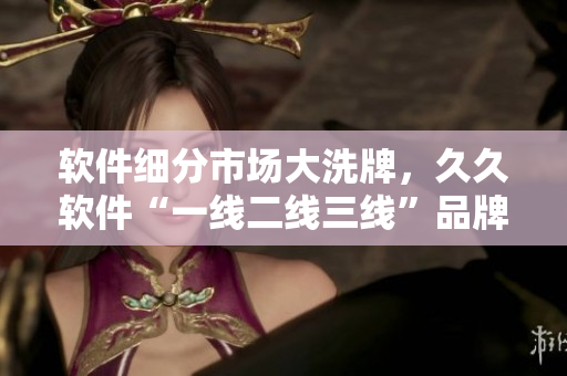 软件细分市场大洗牌，久久软件“一线二线三线”品牌彰显实力