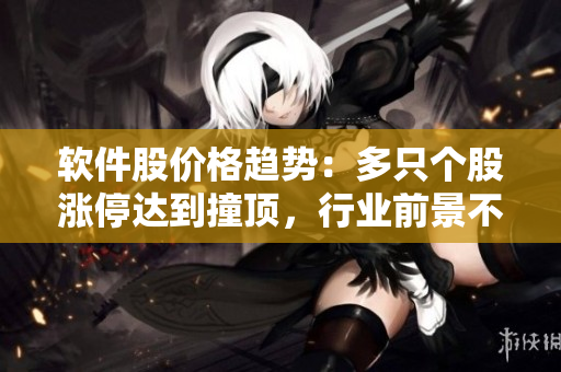 软件股价格趋势：多只个股涨停达到撞顶，行业前景不容忽视