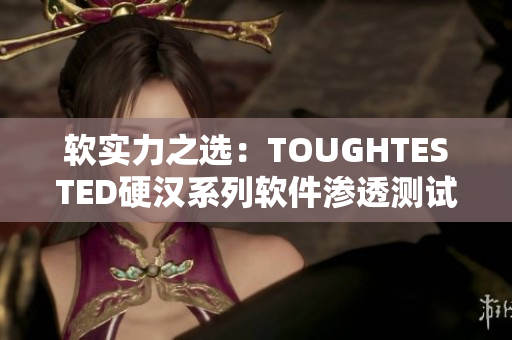 软实力之选：TOUGHTESTED硬汉系列软件渗透测试及保护