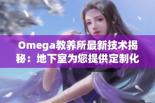 Omega教养所最新技术揭秘：地下室为您提供定制化软件开发解决方案