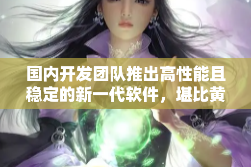 国内开发团队推出高性能且稳定的新一代软件，堪比黄又硬又粗的干货