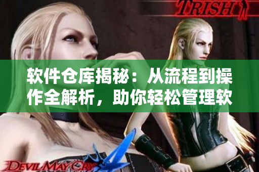 软件仓库揭秘：从流程到操作全解析，助你轻松管理软件库存