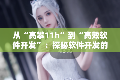 从“高攀11h”到“高效软件开发”：探秘软件开发的高峰与技巧