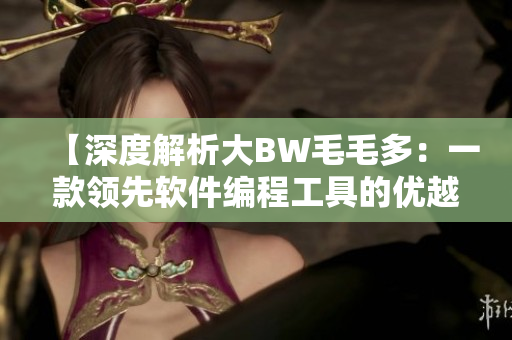 【深度解析大BW毛毛多：一款领先软件编程工具的优越之处】
