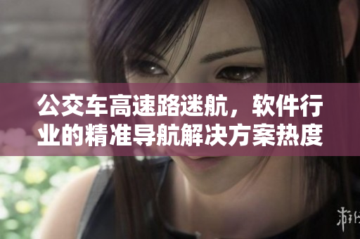 公交车高速路迷航，软件行业的精准导航解决方案热度更高了