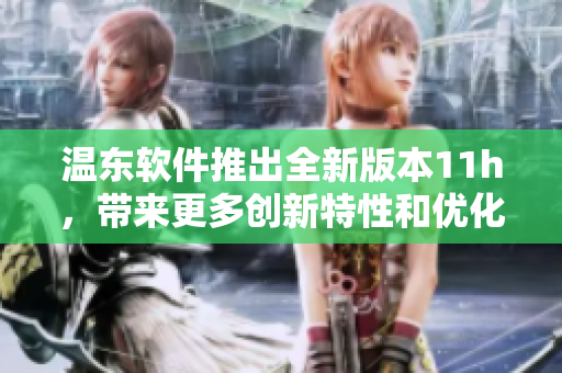温东软件推出全新版本11h，带来更多创新特性和优化体验