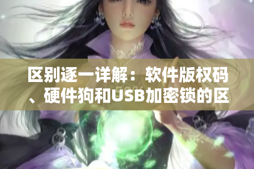 区别逐一详解：软件版权码、硬件狗和USB加密锁的区别
