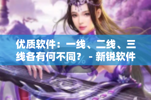 优质软件：一线、二线、三线各有何不同？ - 新锐软件对比分析