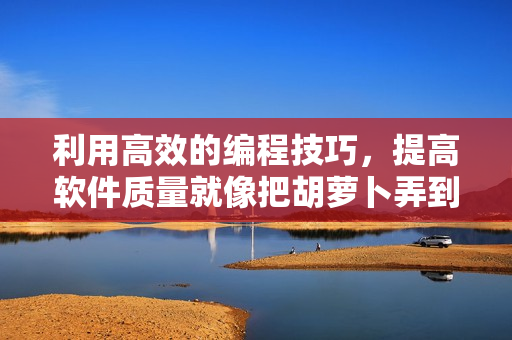 利用高效的编程技巧，提高软件质量就像把胡萝卜弄到高C一样