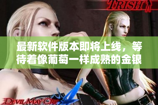 最新软件版本即将上线，等待着像葡萄一样成熟的金银瓶4
