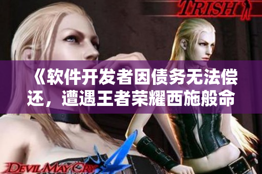 《软件开发者因债务无法偿还，遭遇王者荣耀西施般命运》