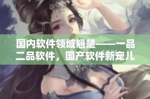 国内软件领域翘楚——一品二品软件，国产软件新宠儿