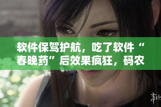 软件保驾护航，吃了软件“春晚药”后效果疯狂，码农们全然不同！