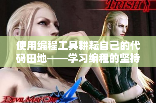 使用编程工具耕耘自己的代码田地——学习编程的坚持与乐趣