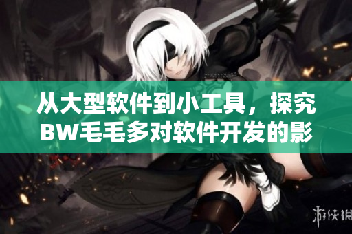 从大型软件到小工具，探究BW毛毛多对软件开发的影响