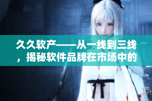 久久软产——从一线到三线，揭秘软件品牌在市场中的发展历程
