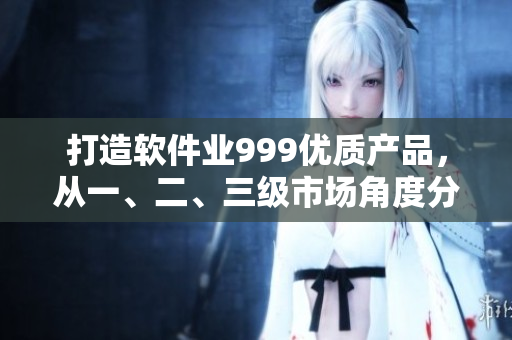 打造软件业999优质产品，从一、二、三级市场角度分析