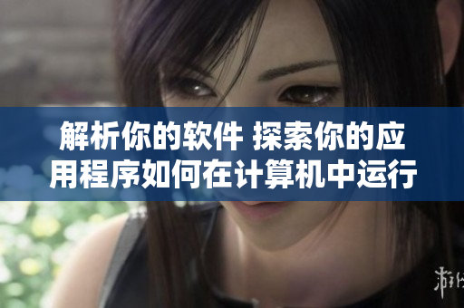 解析你的软件 探索你的应用程序如何在计算机中运行