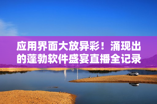 应用界面大放异彩！涌现出的蓬勃软件盛宴直播全记录