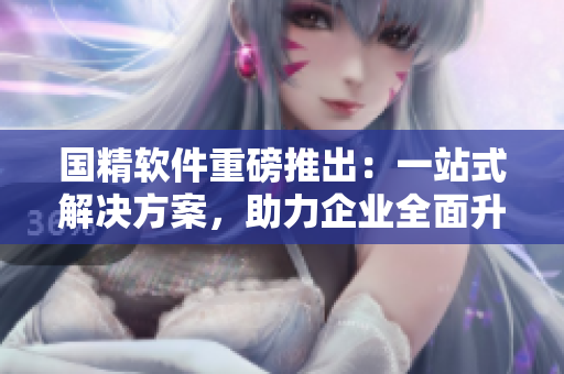 国精软件重磅推出：一站式解决方案，助力企业全面升级！