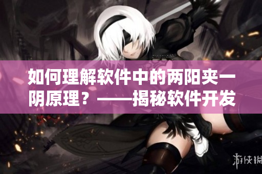 如何理解软件中的两阳夹一阴原理？——揭秘软件开发中的关键技术