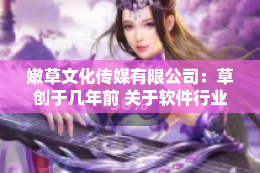 嫩草文化传媒有限公司：草创于几年前 关于软件行业的机遇和挑战