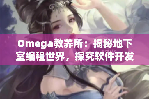 Omega教养所：揭秘地下室编程世界，探究软件开发奥秘