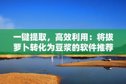 一键提取，高效利用：将拔萝卜转化为豆浆的软件推荐