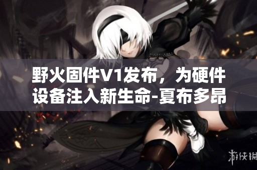 野火固件V1发布，为硬件设备注入新生命-夏布多昂软件笔记。