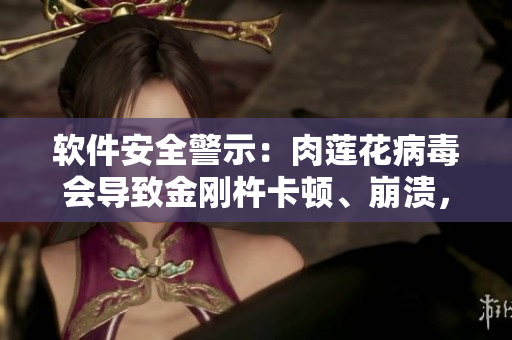 软件安全警示：肉莲花病毒会导致金刚杵卡顿、崩溃，严重损害电脑性能