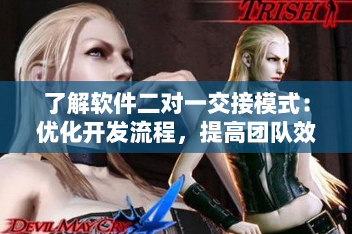 了解软件二对一交接模式：优化开发流程，提高团队效率