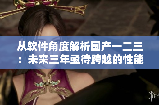 从软件角度解析国产一二三：未来三年亟待跨越的性能与体验瓶颈
