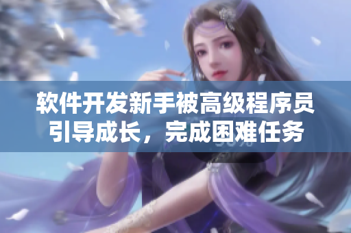 软件开发新手被高级程序员引导成长，完成困难任务
