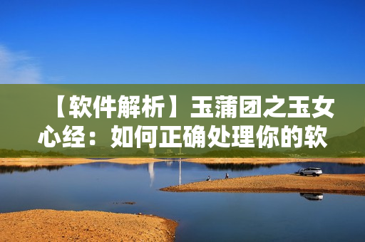 【软件解析】玉蒲团之玉女心经：如何正确处理你的软件数据？