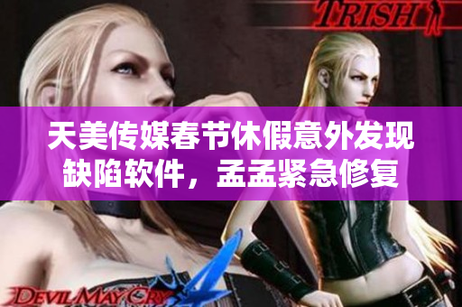 天美传媒春节休假意外发现缺陷软件，孟孟紧急修复