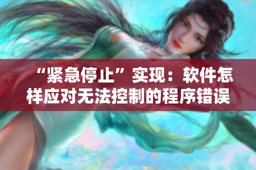 “紧急停止”实现：软件怎样应对无法控制的程序错误
