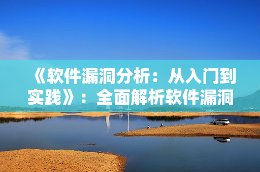 《软件漏洞分析：从入门到实践》：全面解析软件漏洞挖掘方法和实践技巧
