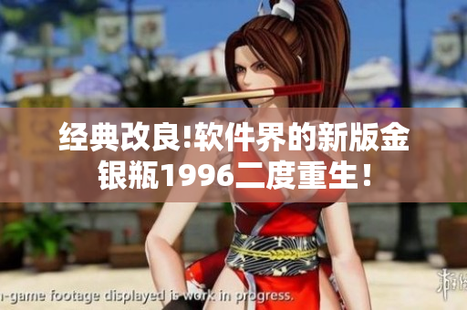 经典改良!软件界的新版金银瓶1996二度重生！