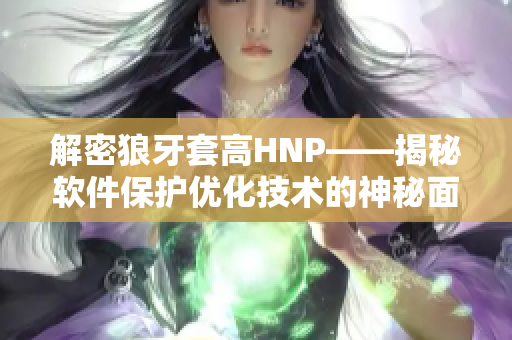 解密狼牙套高HNP——揭秘软件保护优化技术的神秘面纱