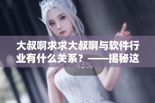 大叔啊求求大叔啊与软件行业有什么关系？——揭秘这首歌背后的软件故事