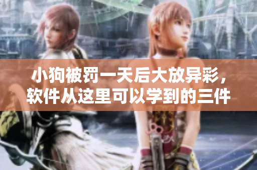 小狗被罚一天后大放异彩，软件从这里可以学到的三件事