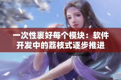一次性裹好每个模块：软件开发中的荔枝式逐步推进