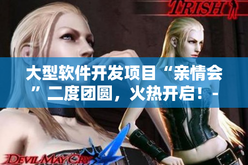 大型软件开发项目“亲情会”二度团圆，火热开启！-免费阅读