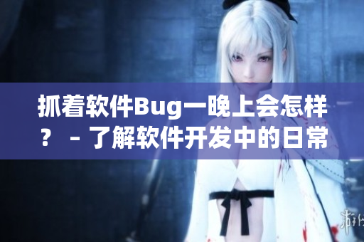 抓着软件Bug一晚上会怎样？ – 了解软件开发中的日常挑战