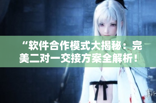 “软件合作模式大揭秘：完美二对一交接方案全解析！”