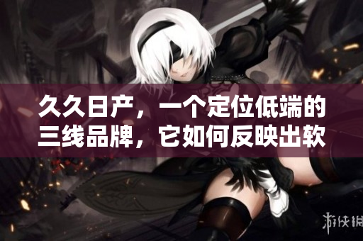 久久日产，一个定位低端的三线品牌，它如何反映出软件行业的不足？